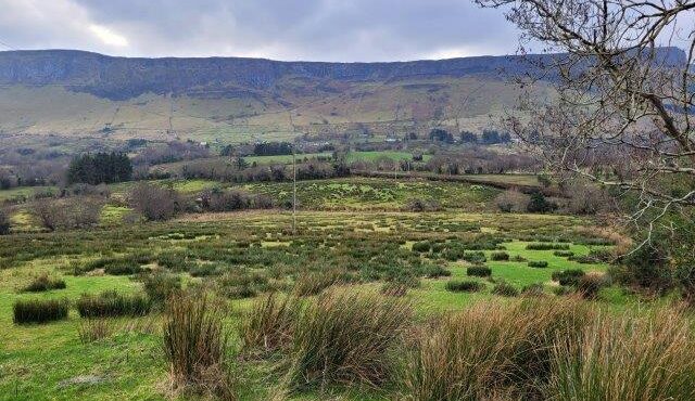 Aughalatieve, Glenade, Co. Leitrim Substantial Farm  Circa 112 acres including Grazing Land & Mountain Rights